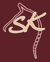 SK-Osteo Logo